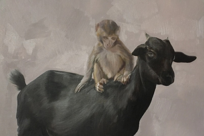 Intervista a Marco Bettio