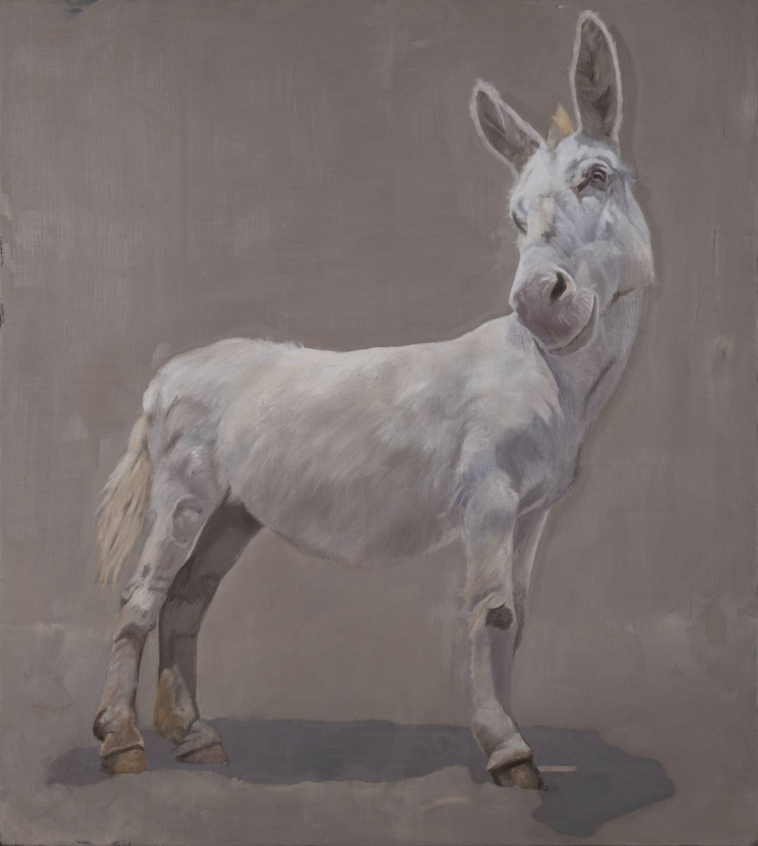 Marco Bettio ad Aosta. Animali e montagne che ci guardano